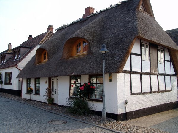 What are the ideal maintenance routines for a UK home with a thatched roof?