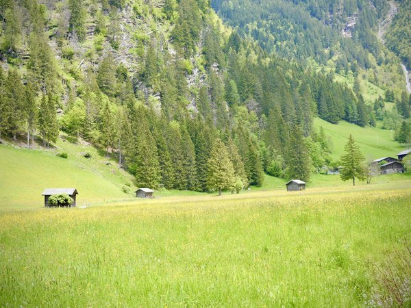 Explore the top cities for retirement bliss in portugal